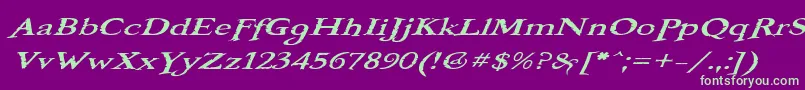 BooterOneOne Font – Green Fonts on Purple Background