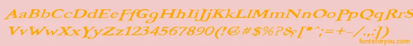 BooterOneOne Font – Orange Fonts on Pink Background