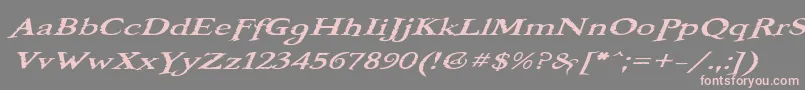 BooterOneOne Font – Pink Fonts on Gray Background