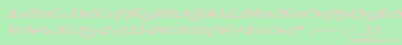 BooterOneOne Font – Pink Fonts on Green Background