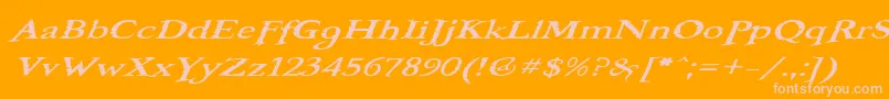 BooterOneOne Font – Pink Fonts on Orange Background