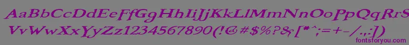 BooterOneOne Font – Purple Fonts on Gray Background