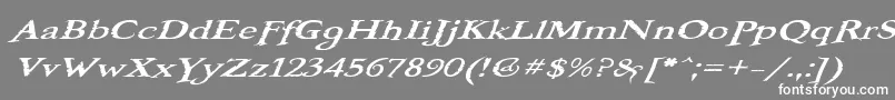 フォントBooterOneOne – 灰色の背景に白い文字