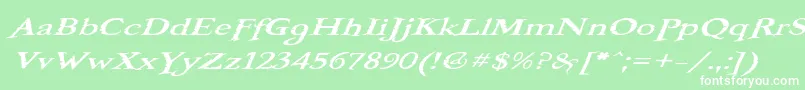 フォントBooterOneOne – 緑の背景に白い文字