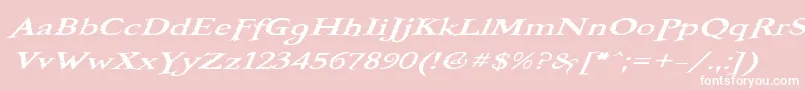 BooterOneOne Font – White Fonts on Pink Background