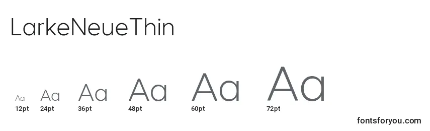 Размеры шрифта LarkeNeueThin