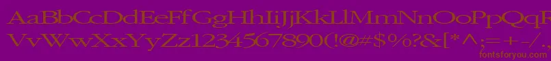 ElvisRegularTtnorm Font – Brown Fonts on Purple Background