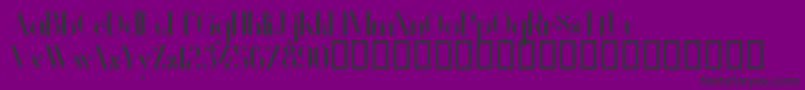 fuente VanityBold – Fuentes Negras Sobre Fondo Morado