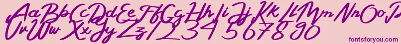 BelladaPersonalLicense Font – Purple Fonts on Pink Background