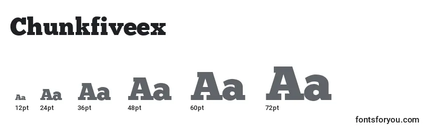 Размеры шрифта Chunkfiveex
