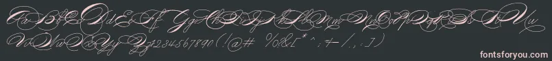 Michael16017-Schriftart – Rosa Schriften auf schwarzem Hintergrund