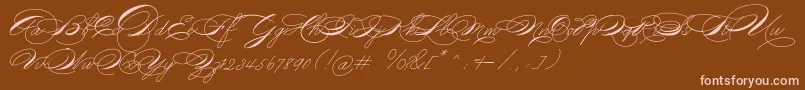 Michael16017 Font – Pink Fonts on Brown Background