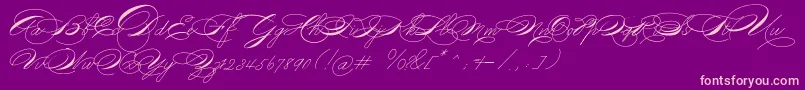 Michael16017-fontti – vaaleanpunaiset fontit violetilla taustalla