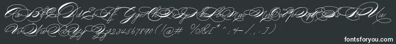 フォントMichael16017 – 黒い背景に白い文字