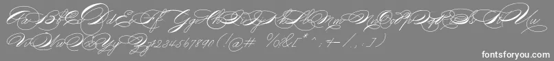 Michael16017 Font – White Fonts on Gray Background