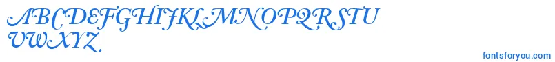 AdobeCaslonSemiboldItalicSwash Font – Blue Fonts on White Background