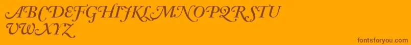 AdobeCaslonSemiboldItalicSwash Font – Brown Fonts on Orange Background