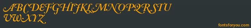 AdobeCaslonSemiboldItalicSwash Font – Orange Fonts on Black Background