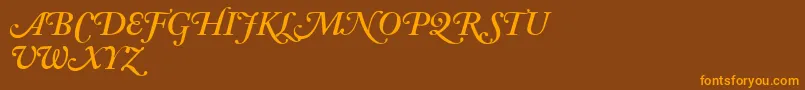 AdobeCaslonSemiboldItalicSwash Font – Orange Fonts on Brown Background