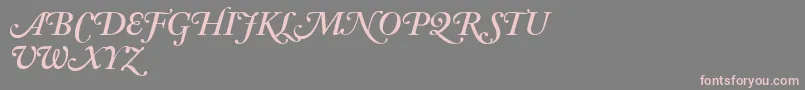 AdobeCaslonSemiboldItalicSwash Font – Pink Fonts on Gray Background