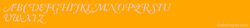 AdobeCaslonSemiboldItalicSwash Font – Pink Fonts on Orange Background