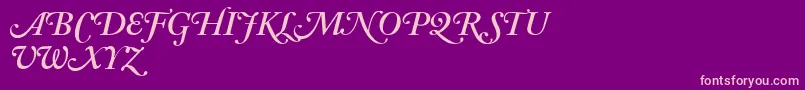 AdobeCaslonSemiboldItalicSwash Font – Pink Fonts on Purple Background
