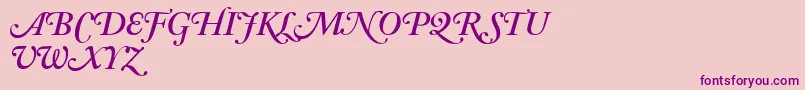 AdobeCaslonSemiboldItalicSwash Font – Purple Fonts on Pink Background