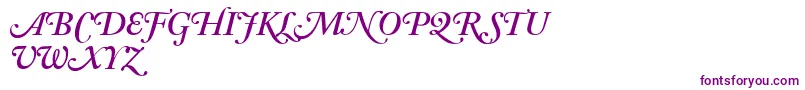 AdobeCaslonSemiboldItalicSwash Font – Purple Fonts on White Background