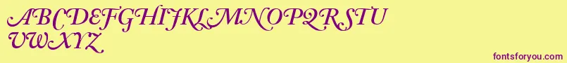 AdobeCaslonSemiboldItalicSwash Font – Purple Fonts on Yellow Background