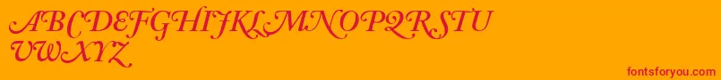 AdobeCaslonSemiboldItalicSwash Font – Red Fonts on Orange Background