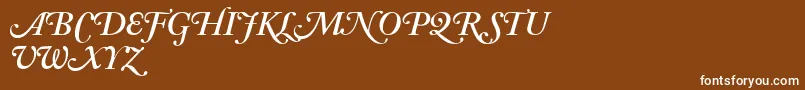 AdobeCaslonSemiboldItalicSwash Font – White Fonts on Brown Background