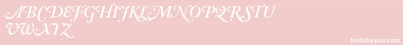 AdobeCaslonSemiboldItalicSwash Font – White Fonts on Pink Background