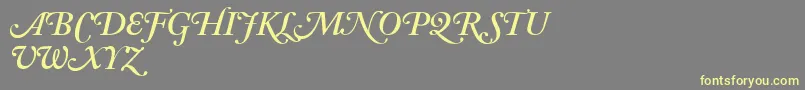 AdobeCaslonSemiboldItalicSwash Font – Yellow Fonts on Gray Background