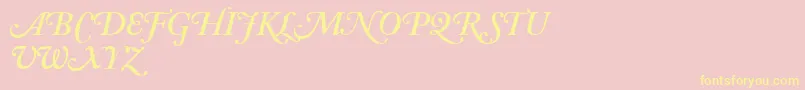 AdobeCaslonSemiboldItalicSwash Font – Yellow Fonts on Pink Background