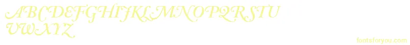 AdobeCaslonSemiboldItalicSwash Font – Yellow Fonts
