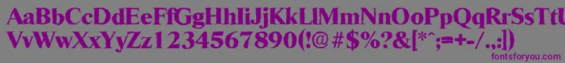 RiccioneantiqueXboldRegular Font – Purple Fonts on Gray Background