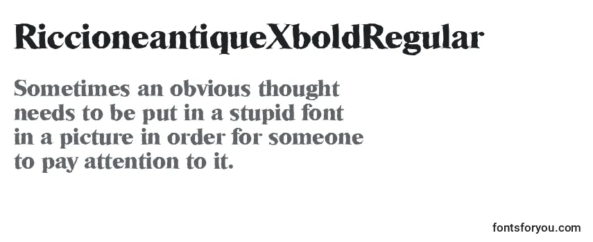 Überblick über die Schriftart RiccioneantiqueXboldRegular