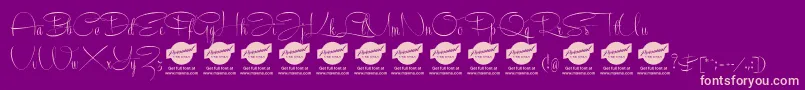 RecordascriptPersonalUseOnly Font – Pink Fonts on Purple Background