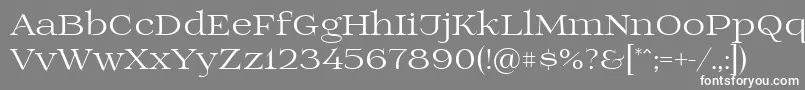 フォントPrida01 – 灰色の背景に白い文字