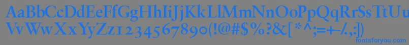 GaramondrepriseossskBold Font – Blue Fonts on Gray Background