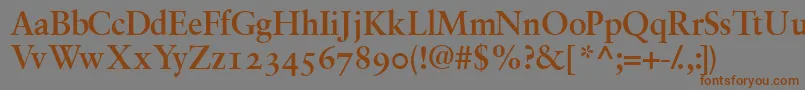 GaramondrepriseossskBold Font – Brown Fonts on Gray Background