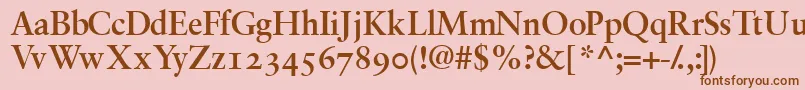 GaramondrepriseossskBold Font – Brown Fonts on Pink Background