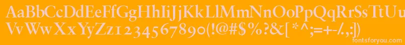 GaramondrepriseossskBold Font – Pink Fonts on Orange Background