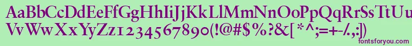 GaramondrepriseossskBold Font – Purple Fonts on Green Background