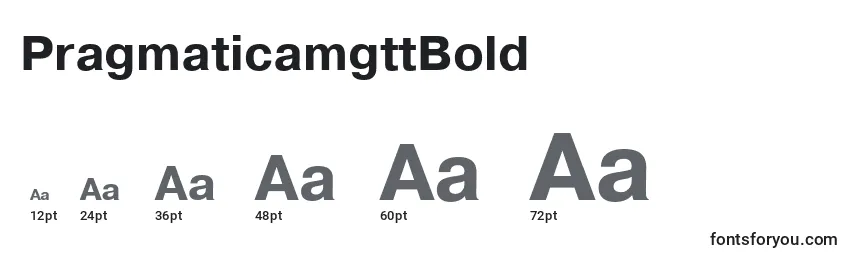 Размеры шрифта PragmaticamgttBold