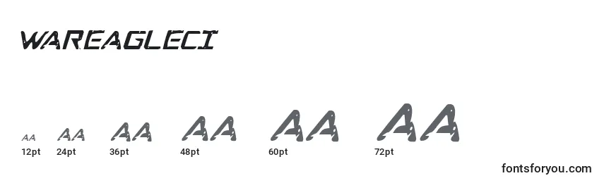 Wareagleci Font Sizes
