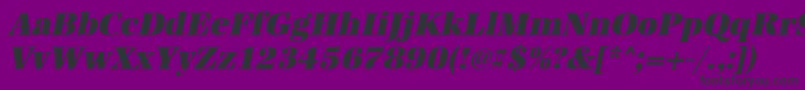 UrwantiquatultbolnarOblique Font – Black Fonts on Purple Background