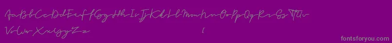 Forever Font – Gray Fonts on Purple Background