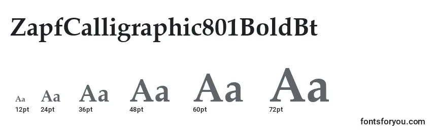 Größen der Schriftart ZapfCalligraphic801BoldBt