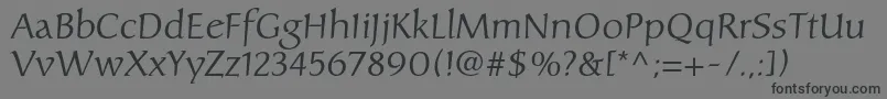 Carolinaltstd Font – Black Fonts on Gray Background
